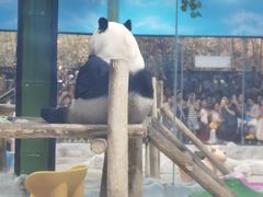 -栾川竹海野生动物园