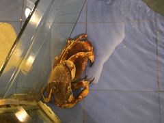 -大东方海鲜酒楼(小武基桥店)