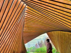 -昆山城市生态森林公园