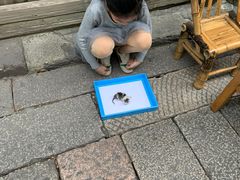 -乌镇东栅景区