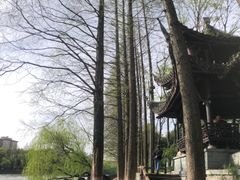 -运河游船(武林门码头)