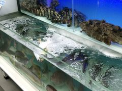 -盒马鲜生(宝地店)