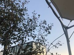 -素心小筑(后沙裕镇店)
