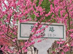 -石家庄市植物园