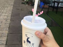 -麓茶