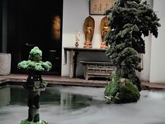-觀芷隐轩