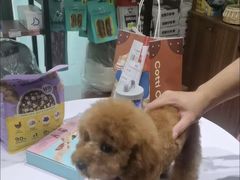 -心仪动物医院·牙专科·肿瘤·心脏科(西客站院)