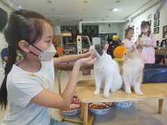 -平行世界·猫咖(首经贸店)