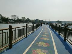 -鹅湖玫瑰文化园