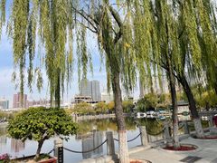 -文瀛公园