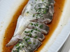 -雅苑中餐厅