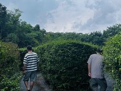 -大屏嶂森林公园