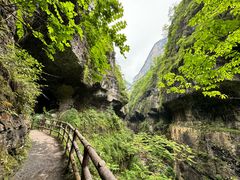 -鹿院坪生态旅游景区