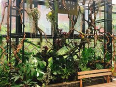 -北马山庄植趣咖啡