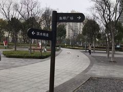 -南翔镇银翔湖公园