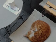 -SAANCI山池咖啡(卓悦中心店)