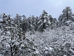 -瓦屋山景区
