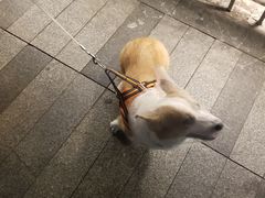 -新大新(东山广场店)