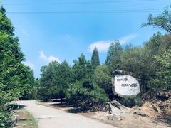 -白水寺森林公园