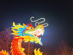 -南宫五洲植物乐园