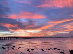 -宝安西湾红树林湿地公园