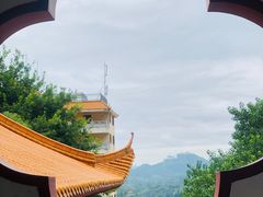 -深圳仙湖植物园