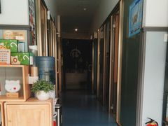 -伟伟宠物医院·瑞派猫友好医院·猫科(光谷店)