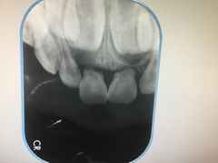 -泰康拜博口腔(世博园乐尔店)