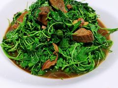 金花菜蚌肉-金典银峰老鹅馆·昆山菜(亭林公园店)
