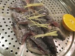 -阿锋鲍鱼酒家美食汇(华安店)
