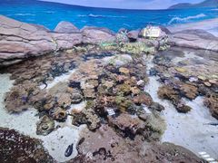 -南昌海洋公园