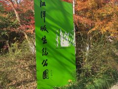 -西湖风景区-江洋畈生态公园