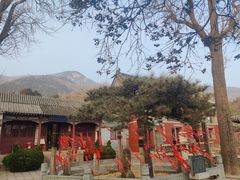 -泰山风景名胜区-普照寺