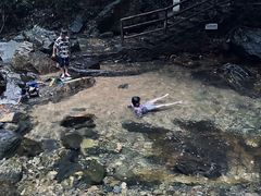 -鼎湖山风景区