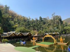 -西双版纳原始森林公园