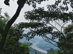 -黄埔油麻山森林公园