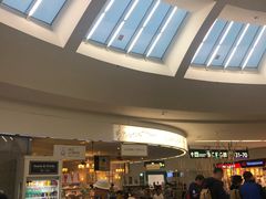 -维也纳国际机场