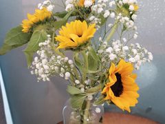 -好利来.生日蛋糕(杨家坪店)