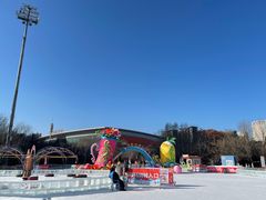 -沈阳奥体冰雪嘉年华