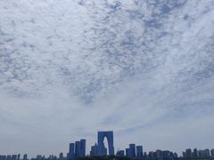 -金鸡湖景区