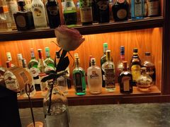 -The Cheebat 锌吧·Bistro(体育西店)