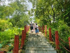 -桃花岭景区