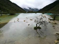 -黄龙山原始森林景区