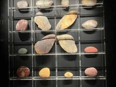 -金沙遗址博物馆