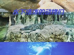 -秦皇岛乐岛海洋王国