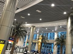 -开罗国际机场