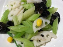 -楚畹园