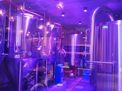 -Ambra Haus琥珀屋精酿餐厅(宝山店)