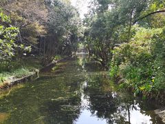 -上海滨江森林公园