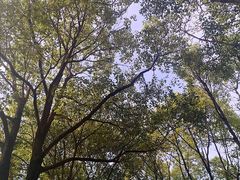 -申隆生态园-上海东方金融小镇